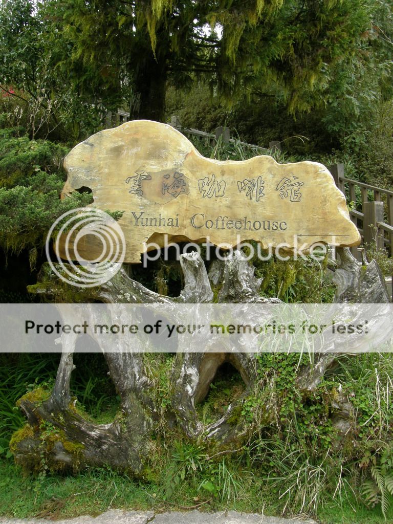 d030.jpg