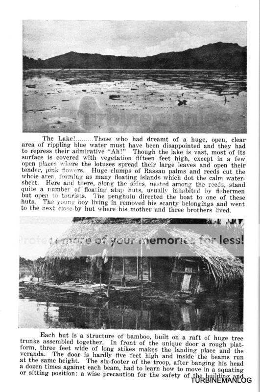 Tasik Chini
