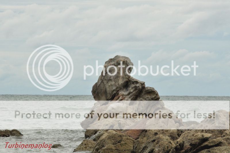 Monkey rock