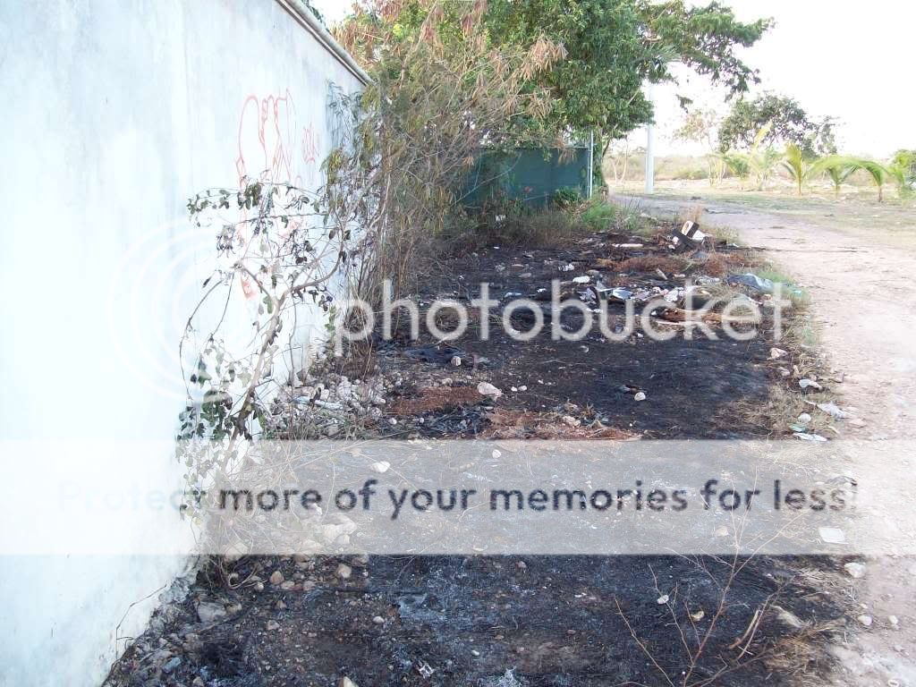 Resized Image - Click For Actual Size Resized Image - Click For Actual Size