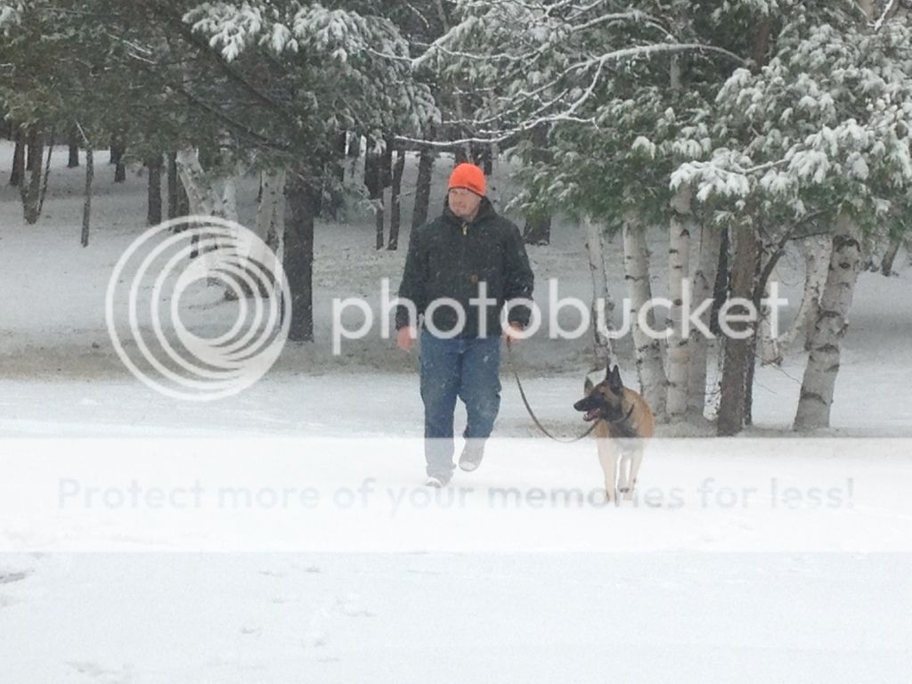 Best SHTF Dog Breed? Page 5