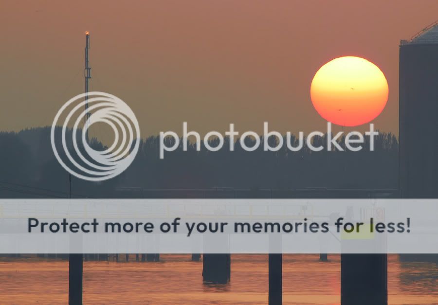 Fotografie