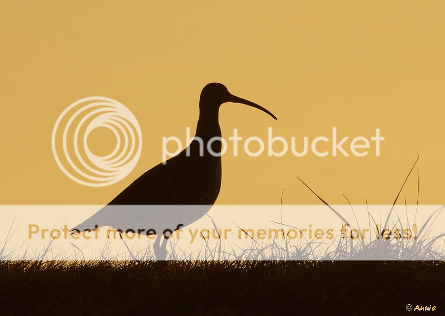 Fotografie