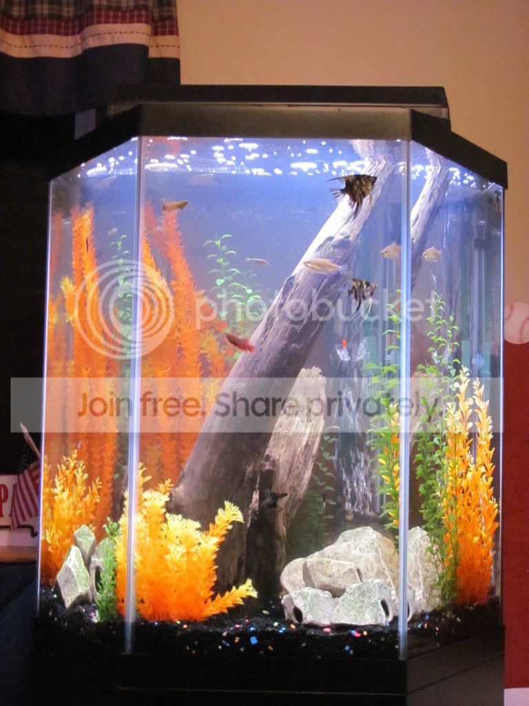 60 gallon hexagon aquarium hood