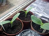 th_09052010450.jpg