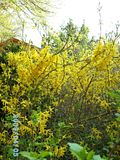 th_PICT0347.jpg