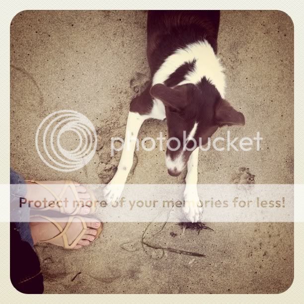 Photobucket