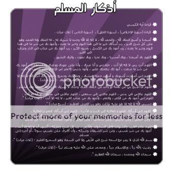 user193112_pic18752_1242982231