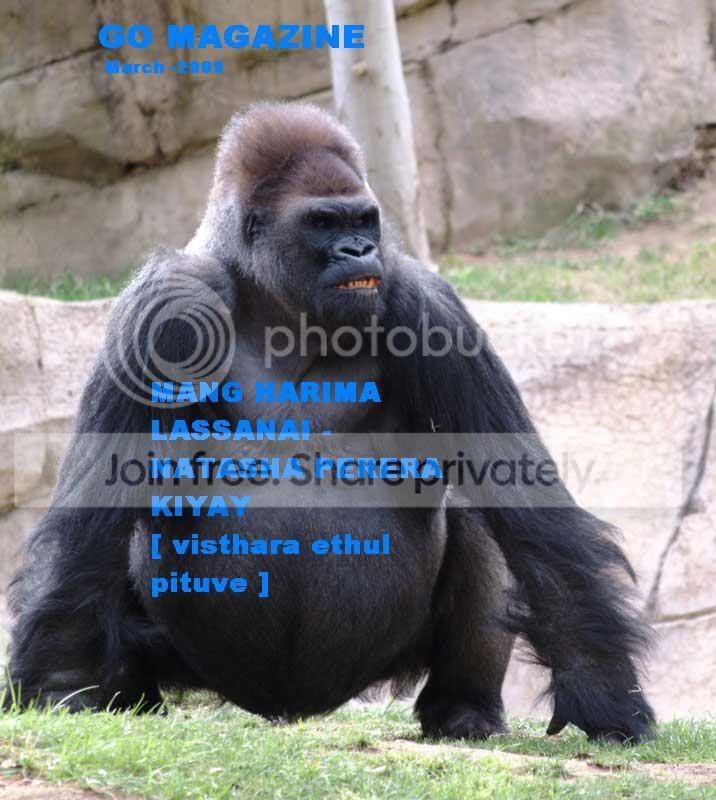 NATASHAPERERA.jpg